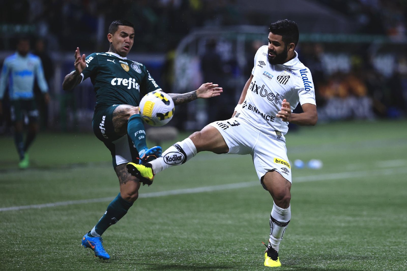 A equipe de Abel do Palmeiras tem o Santos como um time frequentemente derrotado, mesmo com adversidades como jogar em campos neutros, no estádio Allianz, na Vila Belmiro ou até mesmo com um jogador a menos