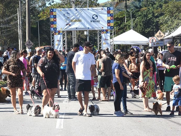 Caminhada do Amicão reúne centenas de cães na Praia do Anil