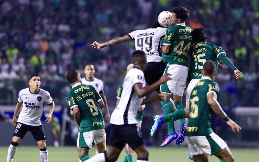 Palmeiras e Botafogo disputam liderança do Brasileirão em duelo decisivo